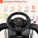 Licensed Lamborghini SIAN Ride on Push Car, 3 in 1 Baby Sliding